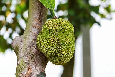 《博德之门3》夏促史低价格销售 八折入手年度最佳游戏